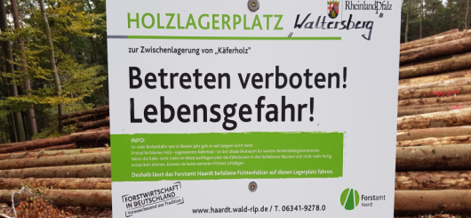 Holzlagerplatz für 