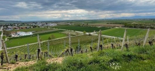 Blick in Richtung Burgunder Pforte