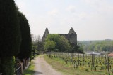 Burgruine Burkheim