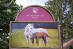 Schloß Piber -Heimat der Lippizaner